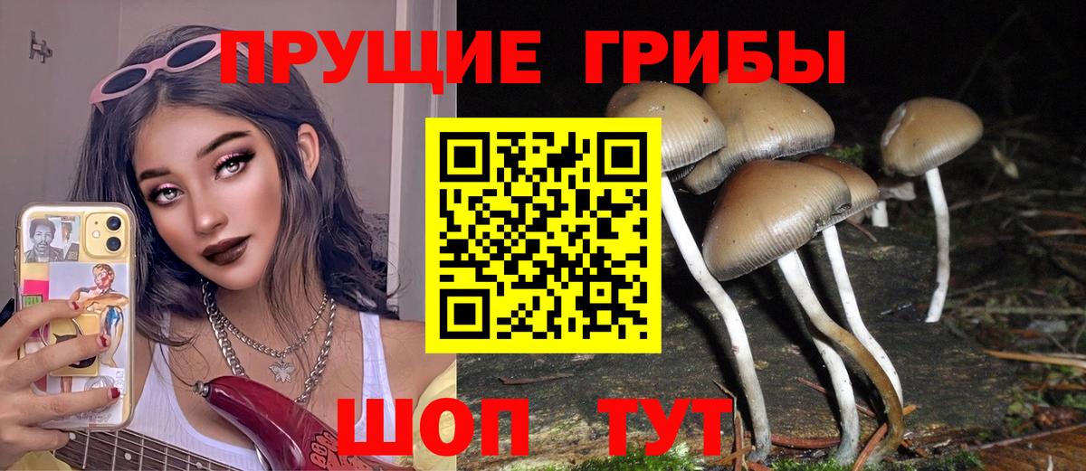 Галлюциногенные грибы Magic Shrooms  Галлюциногенные грибы Psilocybine cubensis  Вход с VPN  Качканар 