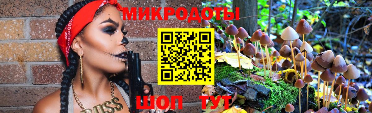 Галлюциногенные грибы ЛСД Качканар